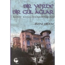 Bir Yerde Bir Gül Ağlar - Emine Erdem - Belge Yayınları