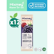 Mixmey Böğürtlen Meyve Barı 12 Adet | Atıştırmalıklar – Vegan, Glutensiz, Koruyucusuz 20g X 12adet