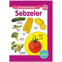 Sebzeler - İlk Bilgilerim Dizisi - Ahmet Altay