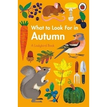 What to Look For in Autumn 9780241416167
