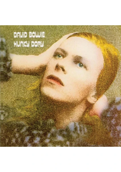 Davıd Bowıe - Hunky Dory