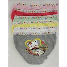 Tutku 0833 Kız Çocuk Desenli Külot 12 Adet 001