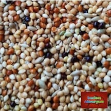 Premium Karışık Muhabbet Kuşu Yemi 10 Kg Kaliteli