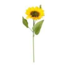 Yapay Ayçiçeği, Dal, Sarı-yeşil - 15x75 Cm Çok Renkli