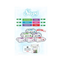 Sleepy 6'lı Tanışma Paketi 100 X 6 600 Yaprak Ve Rosıe Bebek Pamuğu Tekli