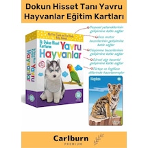 Özel Üretim Görsel Algı Eğlenceli Öğrenme Gelişim Dokun Hisset Tanı Yavru Hayvanlar Eğitim Kartları
