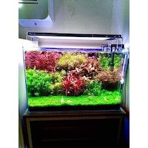 Armatürk 2050H Akvaryum Armatürü 50 CM