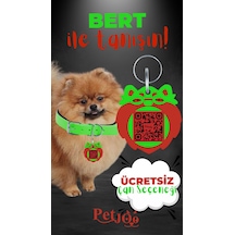 Petjoo 13.Bert Kırmızı-Yeşil Qr'lı Köpek Künyesi