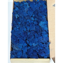 Reindermoss Şoklanmış Norveç Yosunu Terarium Yosunu Mavi 5 Kg.