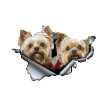 Yorkies Çift Etiket Araba Sticker Yapıştırması 19 Cm