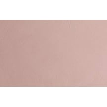 Jotun Silky Pink 20054 Fenomastic Güzel Evim Mineral