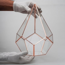 31x22x22cm Bakır Rose Gold Geometrik Teraryum Cam Fanus Takı Aksesuar Çikolata Kutusu Diğer