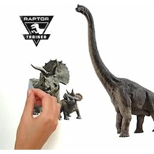 Jurassic World Fallen Kingdom Soy Ve Yapıştır Duvar Çıkartmaları, 'ten Rmk3798scs Acı Kahve