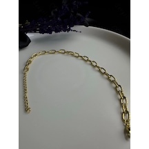 Sevgili Takı Paperclip Zincirli Gold Çelik Kedi Tasması Aksesuarı Meow Serisi