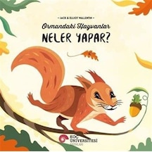 Ormandaki Hayvanlar Neler Yapar / Jack Wallentin