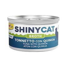 Plus British Shorthair Yavru Kedi Sı 1.5 Kg 100 G