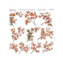 Ütü İle Rub On Transfer Kağıdı 30x30cm Rb-420