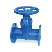 Klepsan 1181 Elastomer Sürgülü Vana F4 Gg40 Dn65
