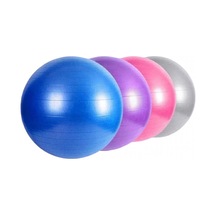 Can Spor Pilates Topu 65 Cm