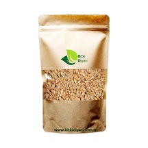 Bitki Diyarı Süpürge Tohumu 250 G