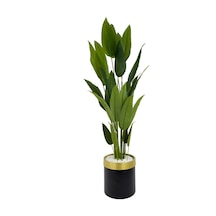 Starliçe 220cm Metal Siyah Gold Saksıda H