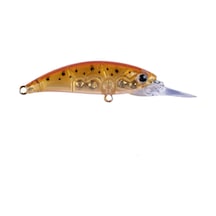 Hanfish Zıpır Ug Colorado Shrimp