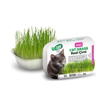 Hobi Fileli Kedi Çimi Cat Grass Ekonomik - Sindirim Dostu Ve Eğlenceli Aktivite