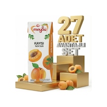 Meysu Nektar Kayısı 27x200 Ml