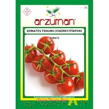Arzuman Cherry Pinpon Domates Tohumu 250 Adet