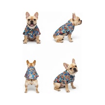 Süper Kahraman Pets Temalı Pop-art Yazlık Pet Gömleği