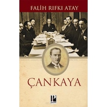 Çankaya N11.5006