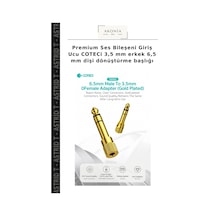 Premium Ses Bileşeni Giriş Ucu Coteci 3,5 Mm Erkek 6,5 Mm Dişi Dönüştürme Başlığı