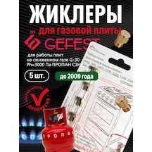 Vdgo Gefest 300 Propan Gazlı Ocak İçin Enjektörlar 240218964