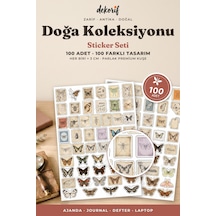 Kelebek Ve Güve Sticker Seti 100 Adet - Doğa Tarihi Antika Böcek Vintage Ajanda Journal Çıkartma Çok Renkli