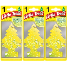 Little Trees 3'Lü Set Sherbet Lemon - Limon Oto Kokusu
