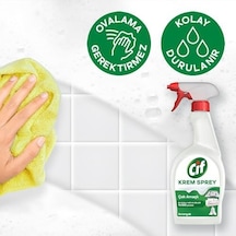 Krem Sprey Çok Amaçlı Amonyak Yüzey Temizleyici Yağ Ve Kir Çıkarıcı 750 Ml 0 02380804