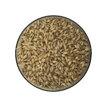 Hitit Malt Pilsner Arpa Maltı 1 KG