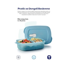 Tupperware Mikrodalga Bölmeli 1 L Saklama Kabı Mavi