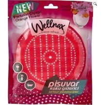 Wellnax Pisuvar Koku Giderici Süzgeç Portakal Çiçeği