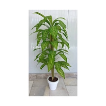 120 Cm Yapay Bambu Beyaz Plastik Saksı Dekoratif Ağaç