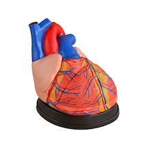 Kalp Modeli Jumbo Boy 3 Parça 25Cm X 23Cm X 23Cm Kaideli