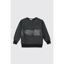 Panço Erkek Çocuk Antrasit Sweatshirt 2521bk08049 Gri