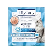 4 Adet Kitty Cady Marseille Breeze Kedi Kumu 5 L