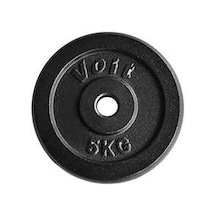Voit Pl101 5kg Döküm Flanş Ağırlık Plaka