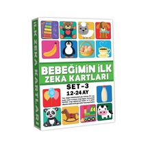 Ers 2212 Eğitici Kartlar 12-24 Ay Zeka Kartları -dıytoys Çok Renkli