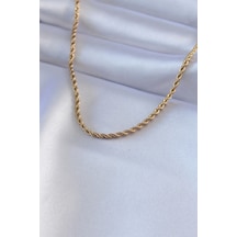 Dodes Dodes 316l Çelik Gold Renk Burgu Model 45 Cm Kadın Kolye Tg27bko7586 Çok Renkli