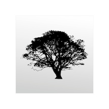 Folyo Sticker Ağaç Adkpquy114 200cm Uzunluk Siyah