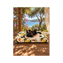 Kedi Ve Köpek Yer Minderi Ve Matı Üst Kalite Yıkanabilir Kılıflı Fermuarlı %100 Boncuk Elyaf Kaydırmaz Taban Kedi Ve Köpek Yatağı Limon - 882210843