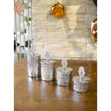 Bakır 4 'Lü Tırtıklı Baharat Takımı Gümüş