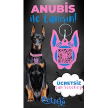 Petjoo 30.Anubis Mavi-Pembe Qr'lı Köpek Künyesi